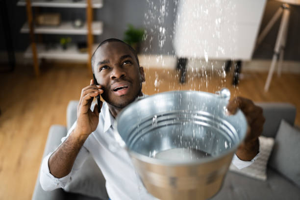 Best Water damage restoration near me  in Belleville, PA