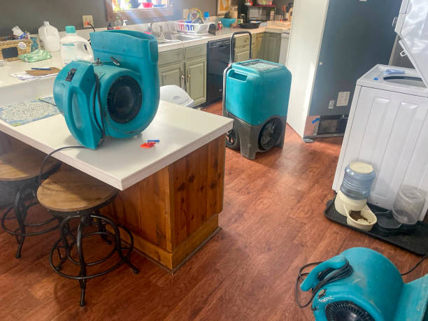 Best Commercial water damage restoration  in Belleville, PA