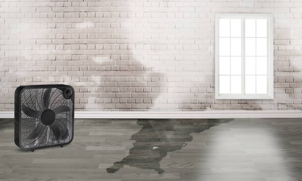  Belleville, PA Water damage restoration Pros