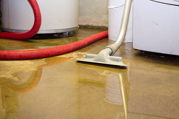 Best Water damage restoration mold remediation  in Belleville, PA