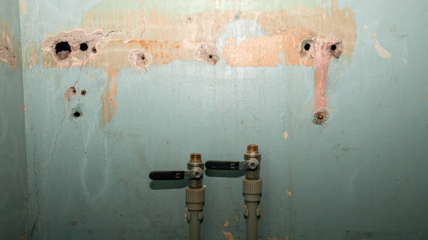 Best Ceiling water damage repair  in Belleville, PA