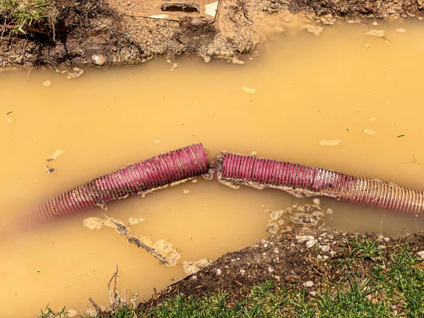 Best Sewage cleanup and water damage restoration  in Belleville, PA