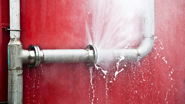 Best Water damage contractors near me  in Belleville, PA