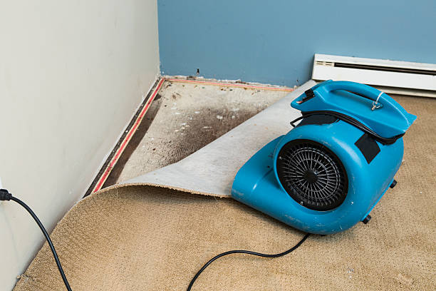 Best Basement water damage restoration  in Belleville, PA